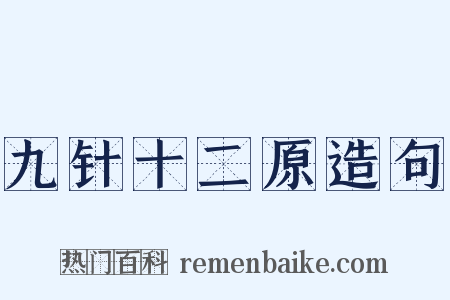 九针十二原造句是什么意思的图片